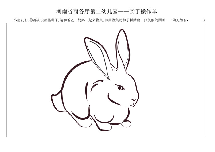 家庭作业小白兔